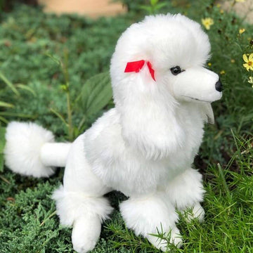 Auswella Auswella - White Poodle Paris
